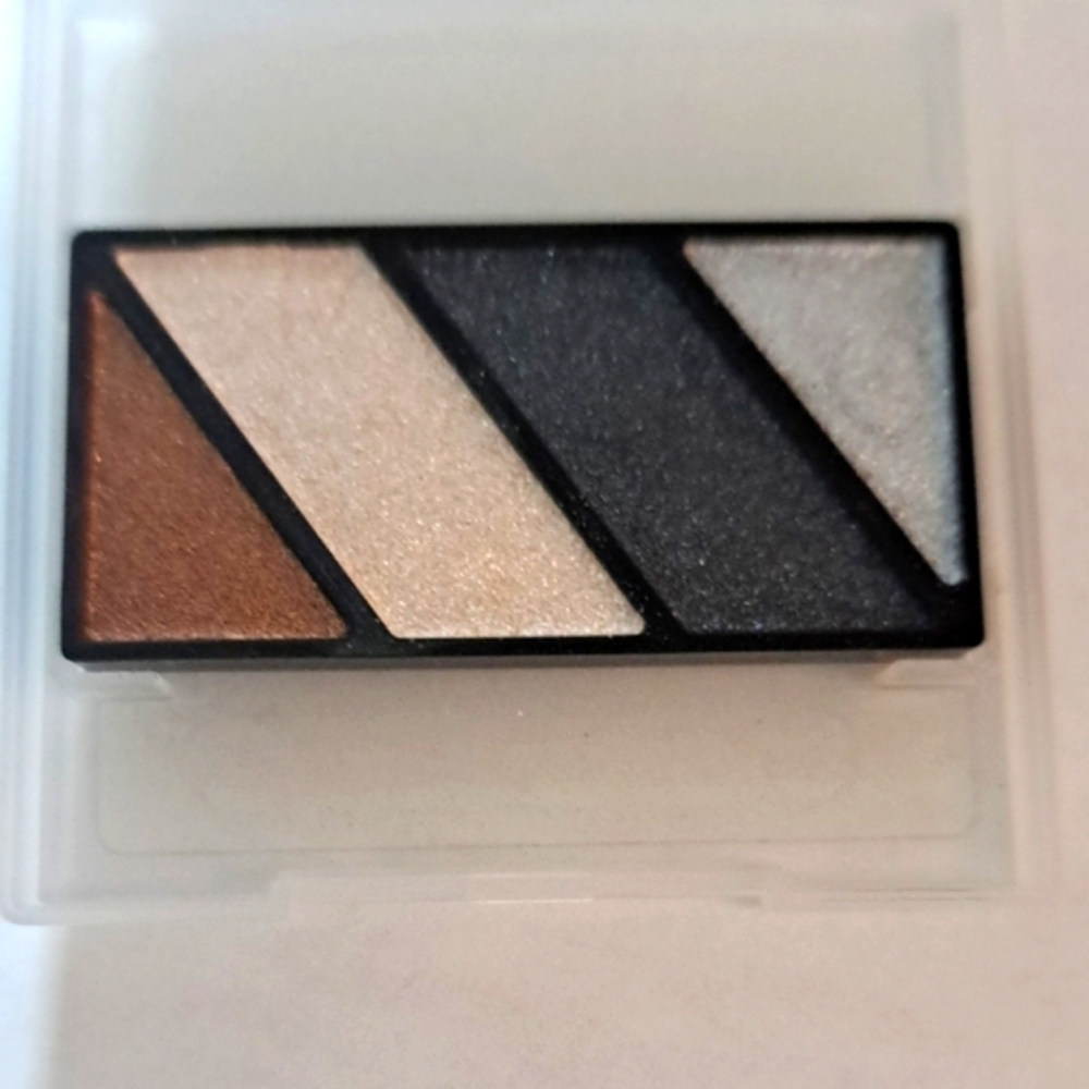 Mary Kay Mineral Eye Color Quad In BLACK ICE